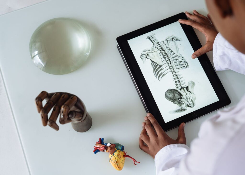 A learner viewing a 3D skeleton on a tablet, an example of augmented reality in the classroom