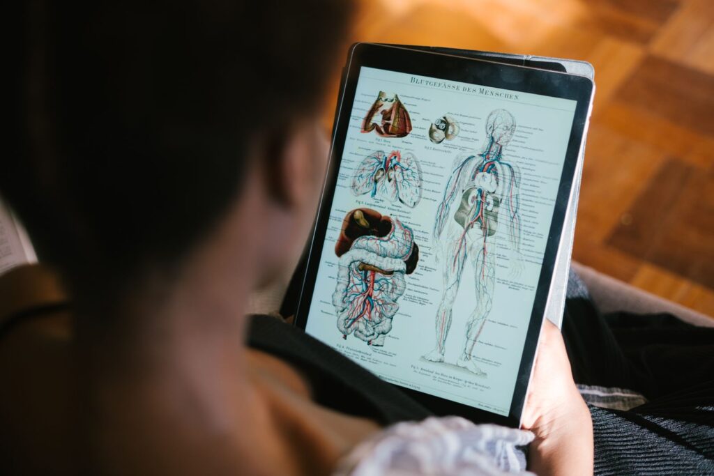 A student studying anatomy on a tablet before using virtual reality in medical education